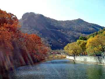 玉溪实时天气与灯珠价格概览