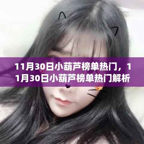 11月30日小葫芦榜单热门解析,洞悉趋势,聚焦热点