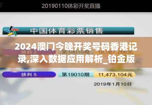 2024澳门今晚开奖号码香港记录,深入数据应用解析_铂金版99.165-2