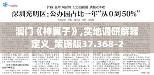 澳门《神算子》,实地调研解释定义_策略版37.368-2