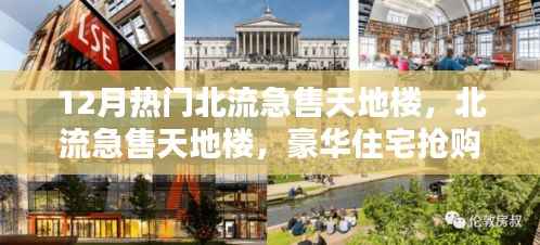 北流豪华天地楼抢购热潮来袭，急售房源引发抢购热潮