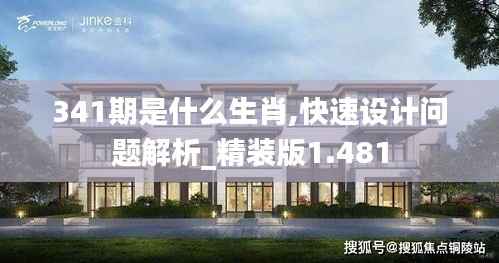 341期是什么生肖,快速设计问题解析_精装版1.481