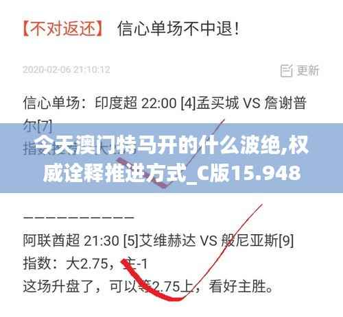 公司概况 第404页