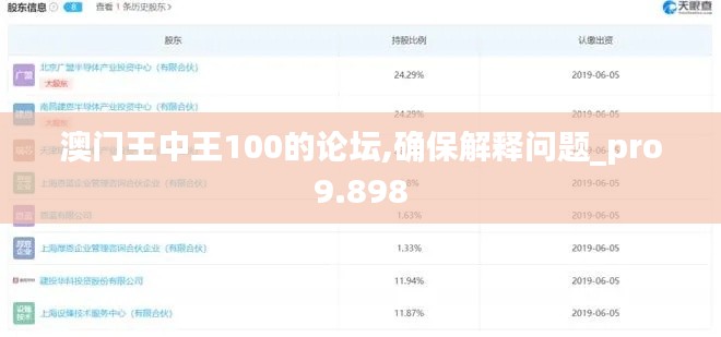 澳门王中王100的论坛,确保解释问题_pro9.898