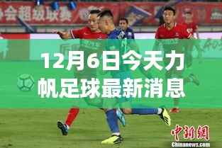 力帆足球队变革新动向,最新观察分析(12月6日)