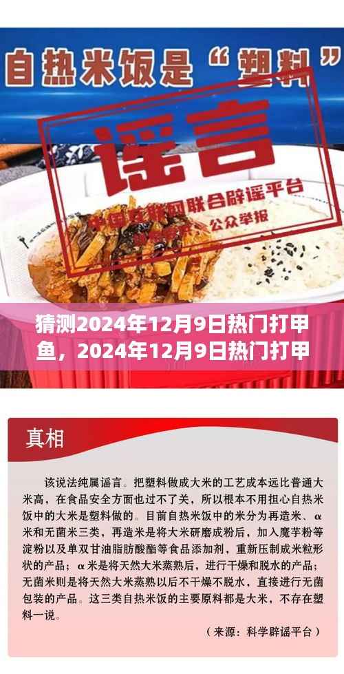 深度解析,2024年打甲鱼现象背后的背景、事件与影响