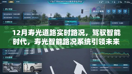 12月寿光道路实时路况,驾驭智能时代,寿光智能路况系统引领未来出行新纪元