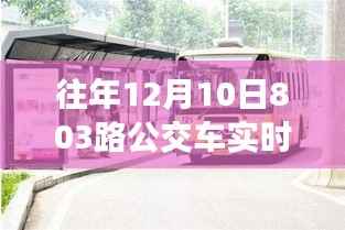 追寻自然美景,与公交803路公交车共舞的心灵之旅,往年路线回顾