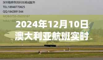 乌鸟之情 第4页