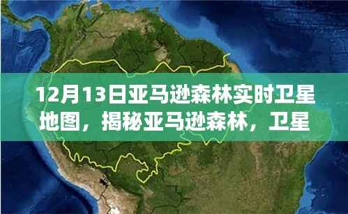 揭秘亚马逊森林，卫星地图下的绿色宝藏特别观察（12月13日）