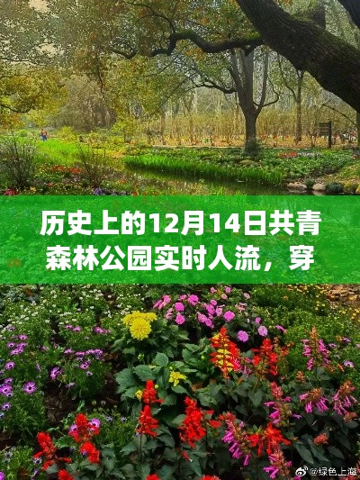 穿越时光,探寻共青森林公园绿色征途的心灵之旅——12月14日实时人流纪实
