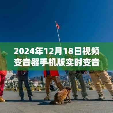 声音之旅的奇妙缘分,手机变音器背后的故事与温馨故事