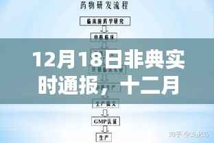 12月18日非典实时通报,疫情回顾与实时动态分析