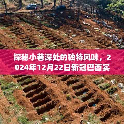 探秘小巷深处的独特风味，隐秘美食之旅在巴西新冠疫情下的独特体验