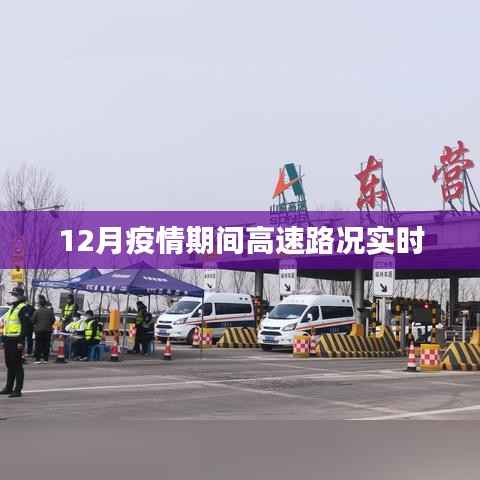 百鸟归巢 第3页