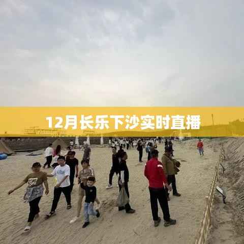 长乐下沙12月实时直播现场