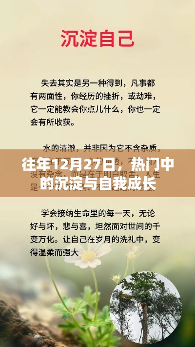 年终沉淀与自我成长,回望12月27日的成长印记