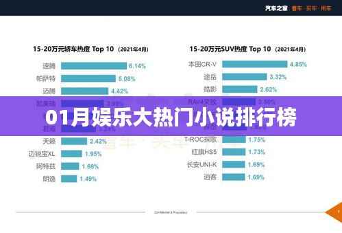 热门娱乐小说排行榜揭晓,一月份必读佳作