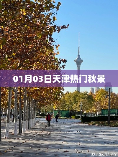 天津热门秋景盘点(日期更新)