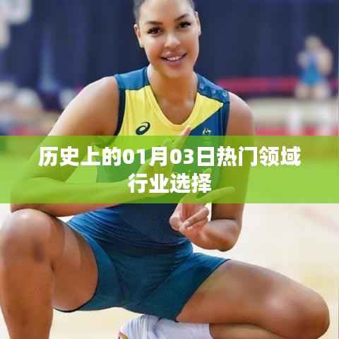 历史上的热门领域行业选择,一月三日回望