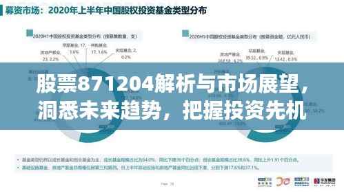 罗含梦鸟 第3页