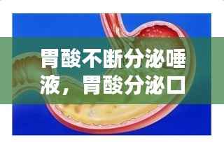 米念PARK仓储物流园 第183页