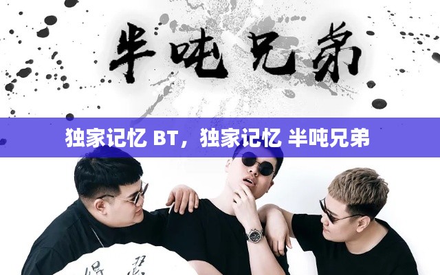 独家记忆 BT,独家记忆 半吨兄弟