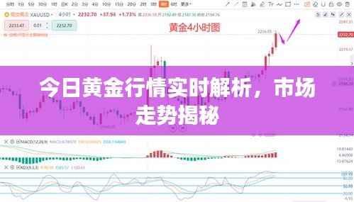 今日黄金行情实时解析,市场走势揭秘