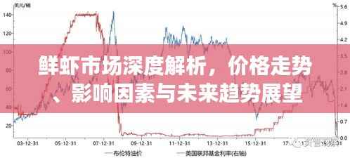 鲜虾市场深度解析，价格走势、影响因素与未来趋势展望