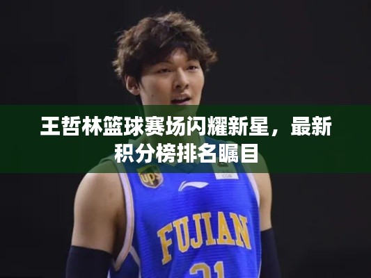 王哲林篮球赛场闪耀新星,最新积分榜排名瞩目