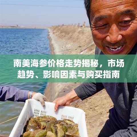 南美海参价格走势揭秘,市场趋势、影响因素与购买指南