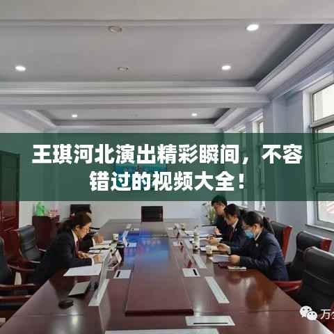 王琪河北演出精彩瞬间，不容错过的视频大全！