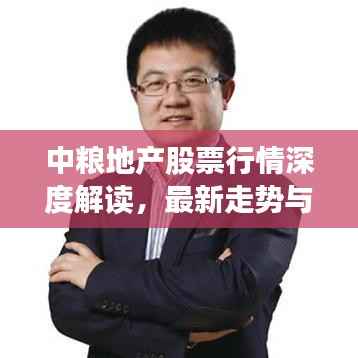 中粮地产股票行情深度解读,最新走势与投资建议