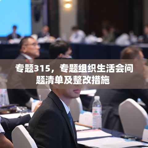 专题315，专题组织生活会问题清单及整改措施 