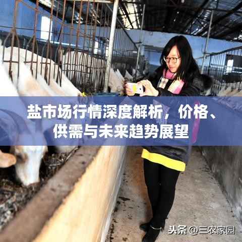 集腋成裘 第2页