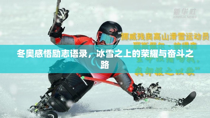 冬奥感悟励志语录,冰雪之上的荣耀与奋斗之路