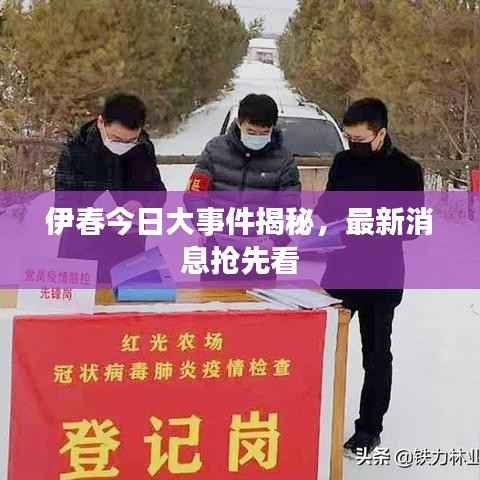 伊春今日大事件揭秘,最新消息抢先看