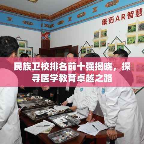 民族卫校排名前十强揭晓,探寻医学教育卓越之路