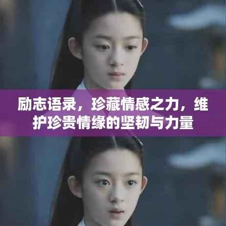 励志语录,珍藏情感之力,维护珍贵情缘的坚韧与力量