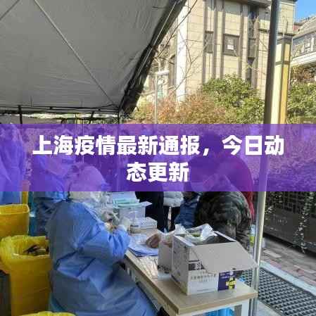 上海疫情最新通报，今日动态更新
